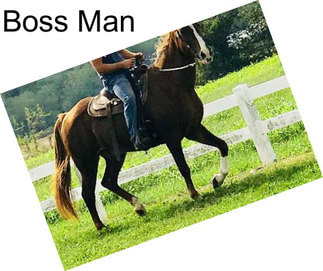 Boss Man
