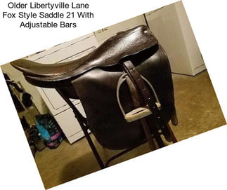 Older Libertyville Lane Fox Style Saddle 21\