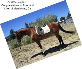 Sold/Echception: Congratulations to Piper and Cheri of Mendocino, Ca