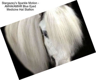 Stargazey\'s Sparkle Motion - AMHA/AMHR Blue Eyed Medicine Hat Stallion