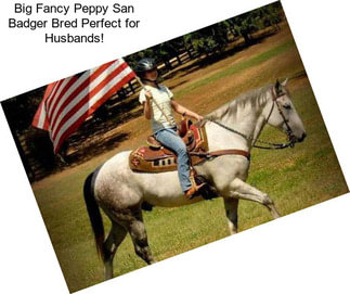 Big Fancy Peppy San Badger Bred Perfect for Husbands!