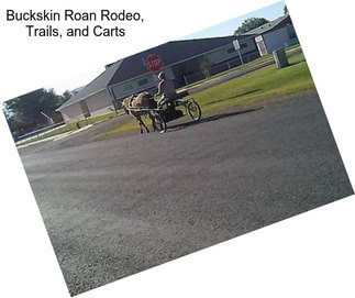 Buckskin Roan Rodeo, Trails, and Carts