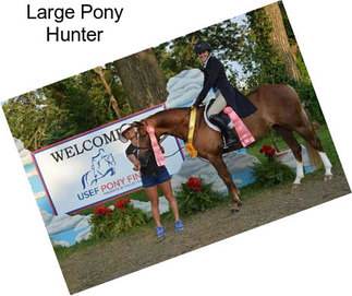 Large Pony Hunter