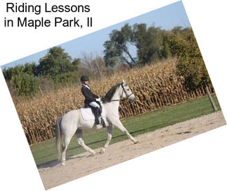 Riding Lessons in Maple Park, Il