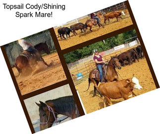 Topsail Cody/Shining Spark Mare!