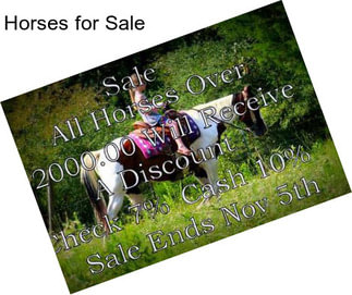 Horses for Sale