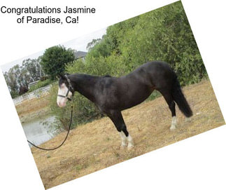 Congratulations Jasmine of Paradise, Ca!