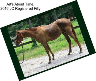 Art\'s About Time, 2016 JC Registered Filly