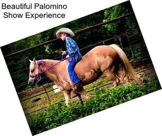 Beautiful Palomino Show Experience