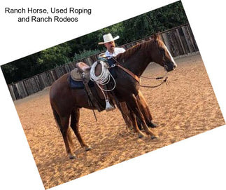 Ranch Horse, Used Roping and Ranch Rodeos