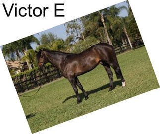 Victor E