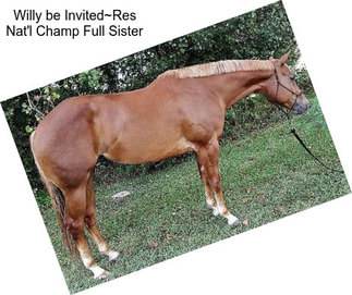 Willy be Invited~Res Nat\'l Champ Full Sister