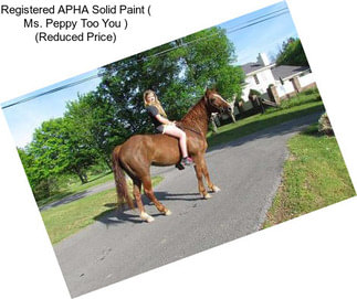 Registered APHA Solid Paint ( Ms. Peppy Too You ) (Reduced Price)