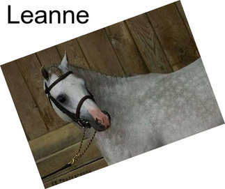 Leanne