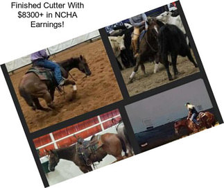 Finished Cutter With $8300+ in NCHA Earnings!