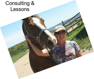 Consulting & Lessons