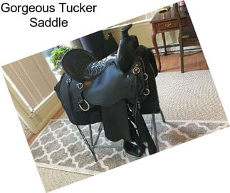 Gorgeous Tucker Saddle