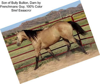 Son of Bully Bullion, Dam by Frenchmans Guy, 100% Color Sire! Eeaacrcr