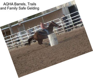 AQHA Barrels, Trails and Family Safe Gelding