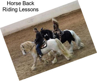 Horse Back Riding Lessons