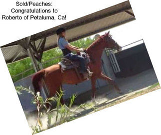 Sold/Peaches: Congratulations to Roberto of Petaluma, Ca!