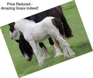 Price Reduced - Amazing Grace Indeed!