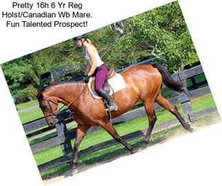 Pretty 16h 6 Yr Reg Holst/Canadian Wb Mare. Fun Talented Prospect!