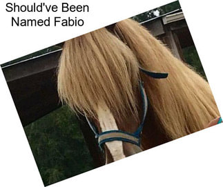 Should\'ve Been Named Fabio