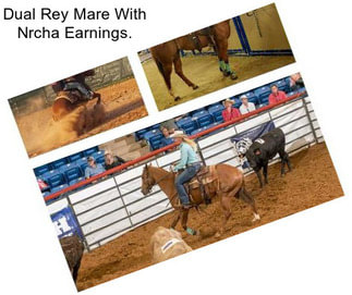 Dual Rey Mare With Nrcha Earnings.