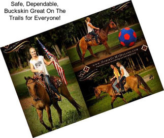 Safe, Dependable, Buckskin Great On The Trails for Everyone!
