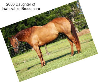 2006 Daughter of Inwhizable, Broodmare