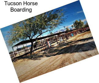 Tucson Horse Boarding