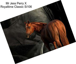 Mr Jess Perry X Royaltime Classic Si106