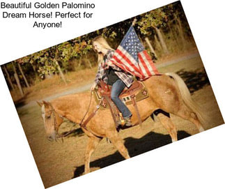 Beautiful Golden Palomino Dream Horse! Perfect for Anyone!