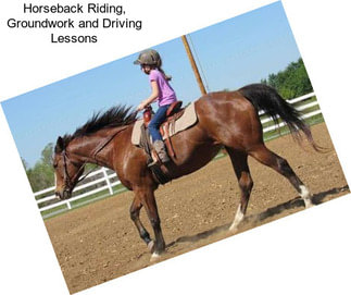 Horseback Riding, Groundwork and Driving Lessons