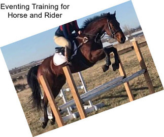 Eventing Training for Horse and Rider