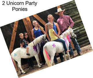2 Unicorn Party Ponies