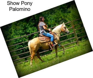 Show Pony Palomino