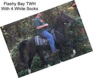 Flashy Bay TWH With 4 White Socks