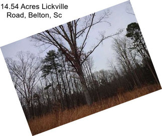 14.54 Acres Lickville Road, Belton, Sc