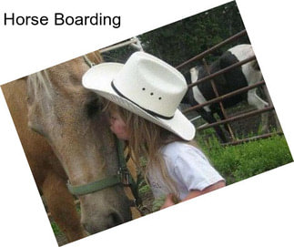 Horse Boarding