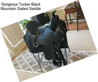 Gorgeous Tucker Black Mountain Gaited Saddle