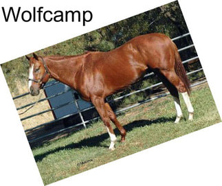 Wolfcamp
