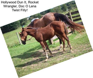 Hollywood Dun It, Rocket Wrangler, Doc O Lena Twist Filly!