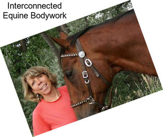 Interconnected Equine Bodywork