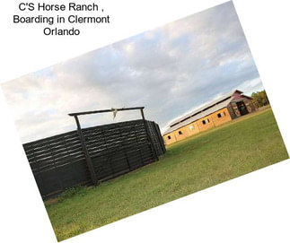 C\'S Horse Ranch , Boarding in Clermont Orlando