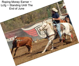 Roping Money Earner ~ Lcfg ~ Standing Until The End of June