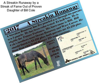 A Streakin Runaway by a Streak of Fame Out of Proven Daughter of Bill Cole