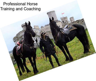 Professional Horse Training and Coaching