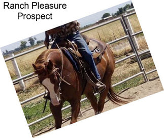Ranch Pleasure Prospect